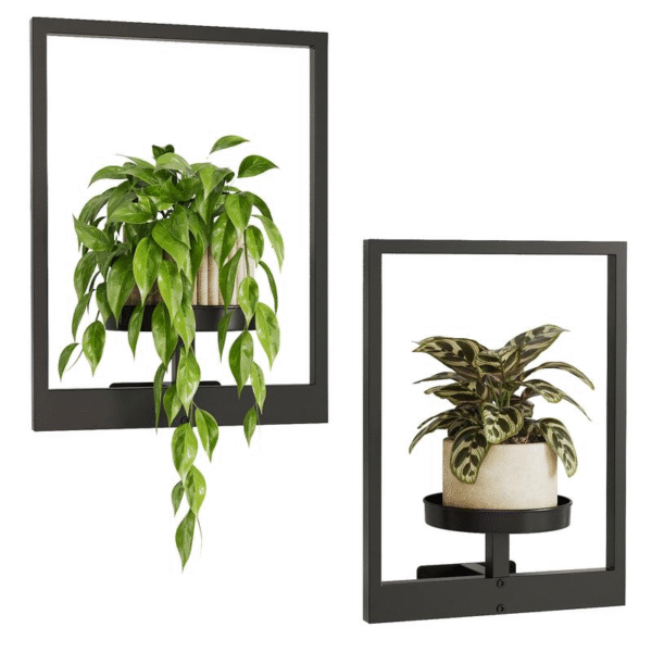 Bamworld Plant Stand Indoor Wall Decor Wall Plant Holder