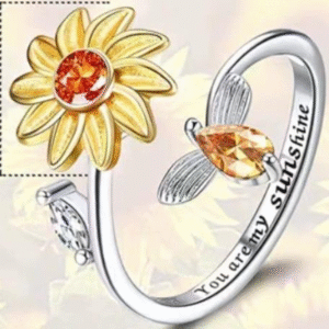 Worry Ring Spinner Worry Rings-Fidget Ringsfidget Ring Spinner Ring